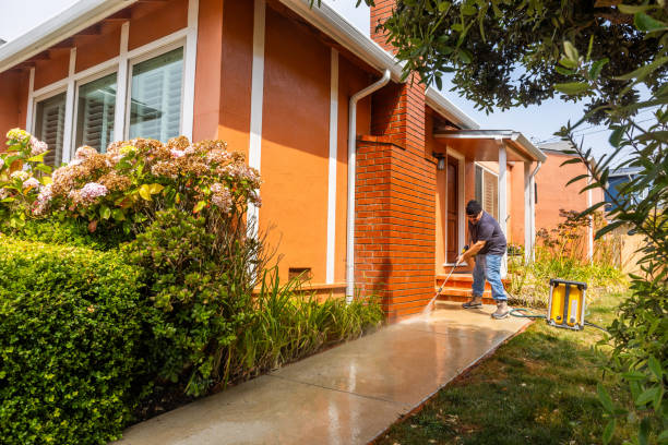 Best Roof Pressure Washing  in Contoocook, NH